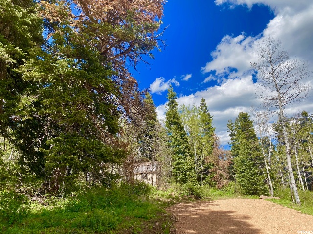 1238 Maple Pl, Wanship, UT 84017 — photo 12
