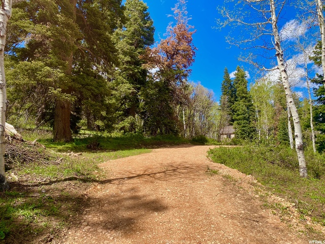 1238 Maple Pl, Wanship, UT 84017 — photo 8