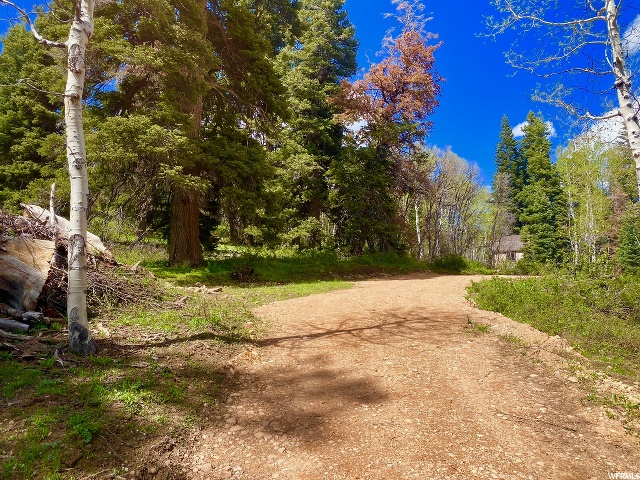 1238 Maple Pl, Wanship, UT 84017 — photo 7