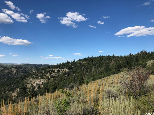 Levan, UT 84639 — photo 3