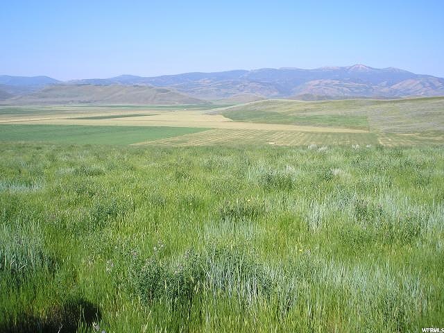 1414 E Smith Ln #B, Georgetown, ID 83239 — photo 8