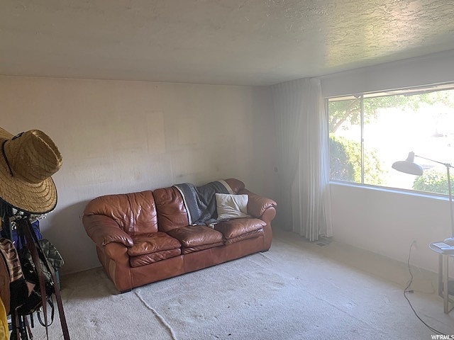 623 E 9850 S, Sandy, UT 84070 — photo 4