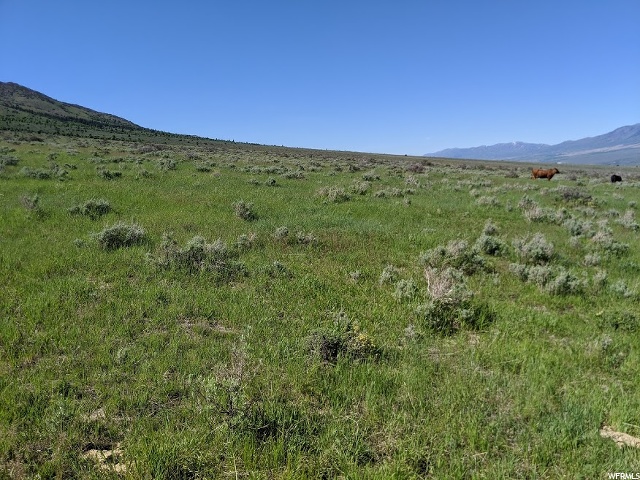 McCammon, ID 83250 — photo 10