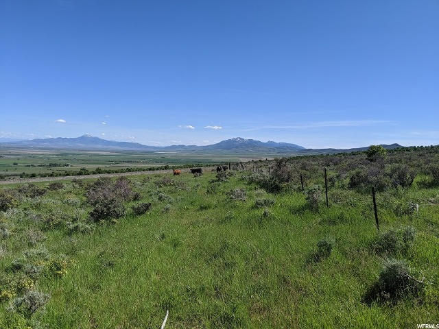McCammon, ID 83250 — photo 9