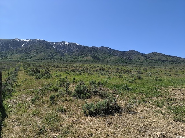 McCammon, ID 83250 — photo 11