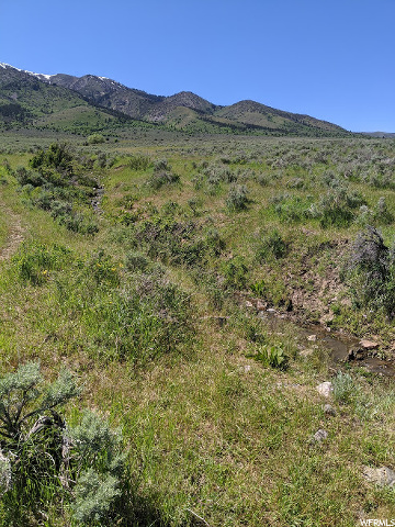 McCammon, ID 83250 — photo 4