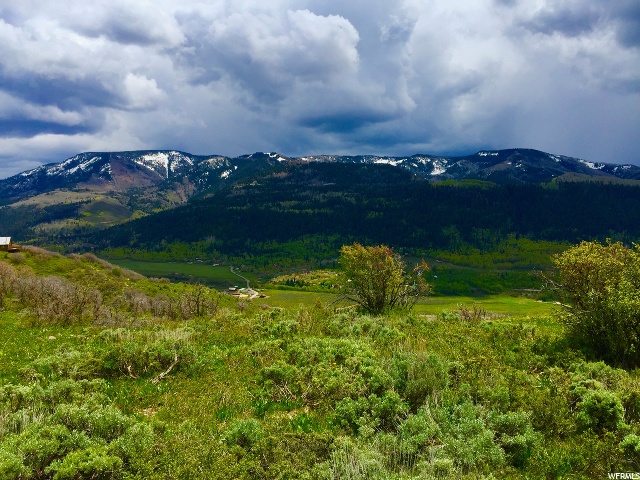 151 Mt Aire Lower Loop #151, Oakley, UT 84055 — photo 5