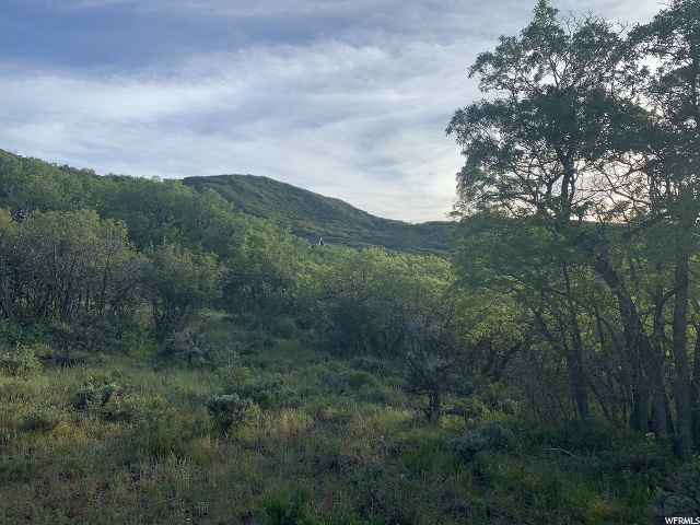 2901 Spring Hill Rd #32, Wanship, UT 84017 — photo 11