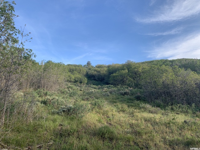 2901 Spring Hill Rd #32, Wanship, UT 84017 — photo 6