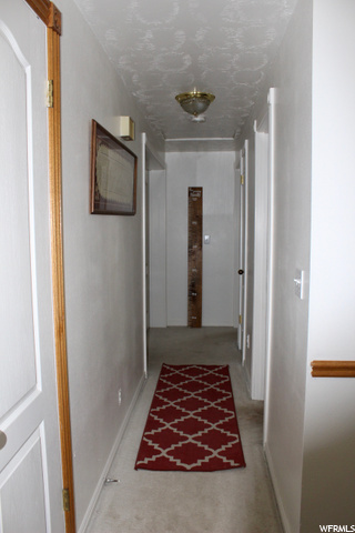 423 N 900 E, Mt Pleasant, UT 84647 — photo 12