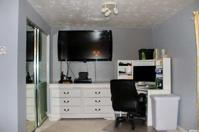 423 N 900 E, Mt Pleasant, UT 84647 — photo 10