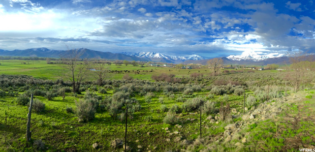 581 S Fox Den Rd, Midway, UT 84049 — photo 8