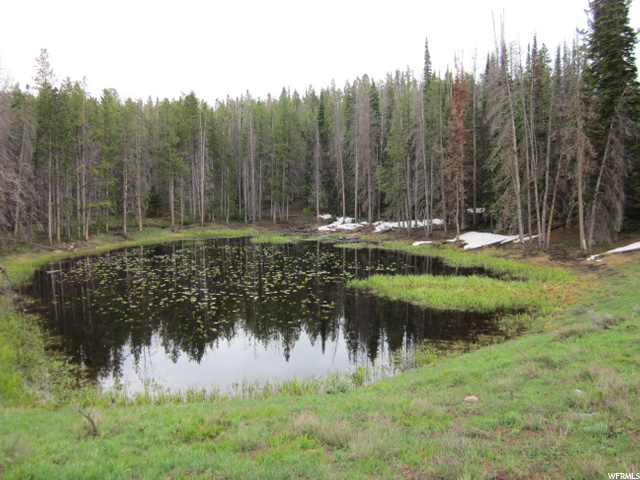 1 Uinta #16-3, Kamas, UT 84036 — photo 2