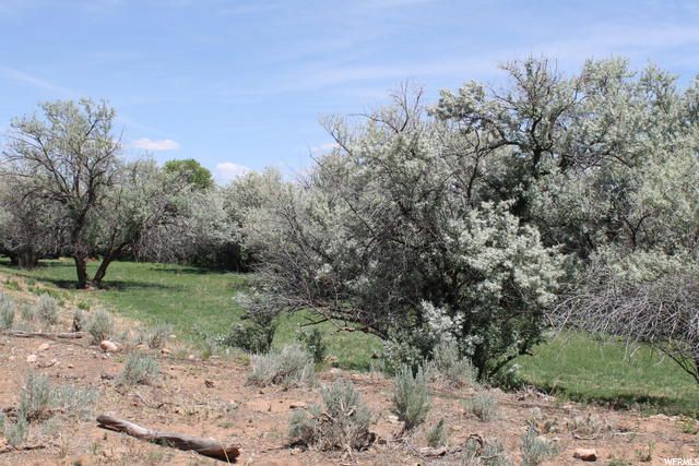 4689 N 10500 E, Lapoint, UT 84039 — photo 11