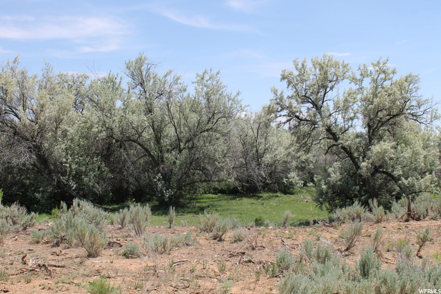 4689 N 10500 E, Lapoint, UT 84039 — photo 10