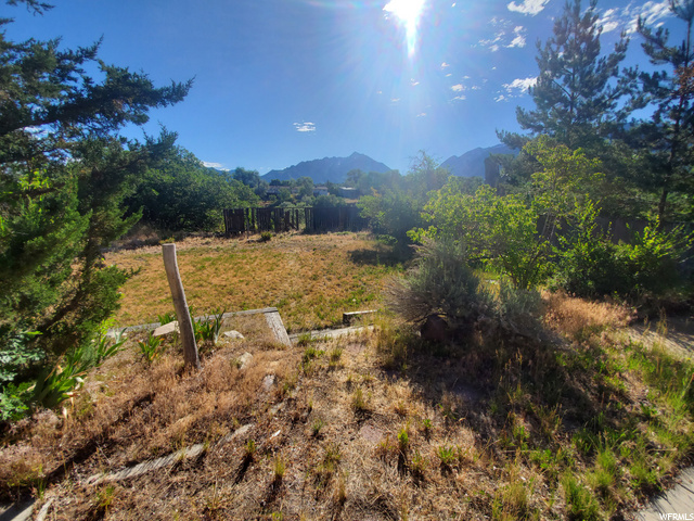 959 E Violet Dr, Sandy, UT 84094 — photo 8