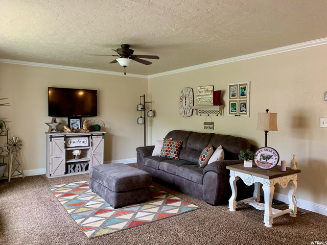 120 S Main St, Mona, UT 84645 — photo 7