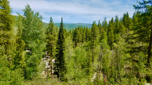 8054 Aspen Loop #78, Oakley, UT 84055 — photo 4