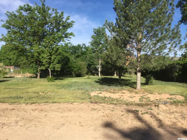 161 N 100 E, Aurora, UT 84620 — photo 4