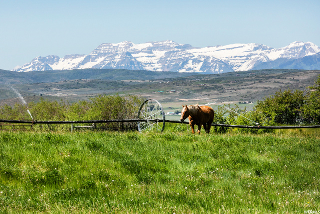 750 E 3200 N, Kamas, UT 84036 — photo 10