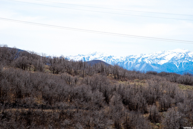 1014 E Longview Dr #33, Hideout, UT 84036 — photo 5