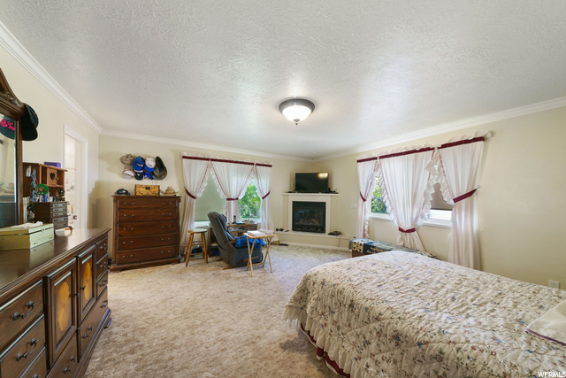 683 N 460 E, Ephraim, UT 84627 — photo 4