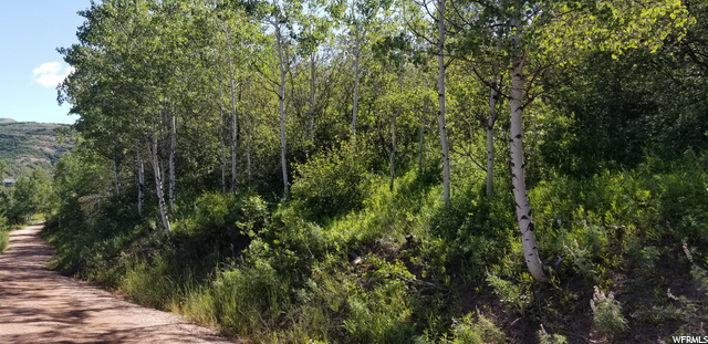 Your Dream Utah Property | $99,000 | 15119 E Mill Rd Huntsville UT