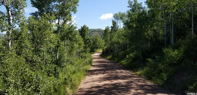 Your Dream Utah Property | $99,000 | 15119 E Mill Rd Huntsville UT