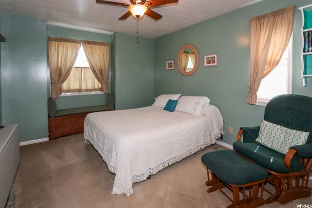 229 E White River Dr, Sandy, UT 84070 — photo 8