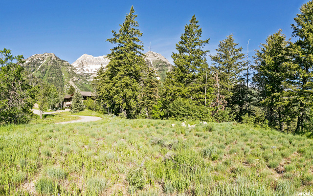 8800 MANDAN RD, Sundance, Utah 84604, ,Land,For Sale,MANDAN,1686346