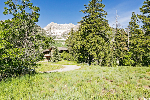 8800 MANDAN RD, Sundance, Utah 84604, ,Land,For Sale,MANDAN,1686346