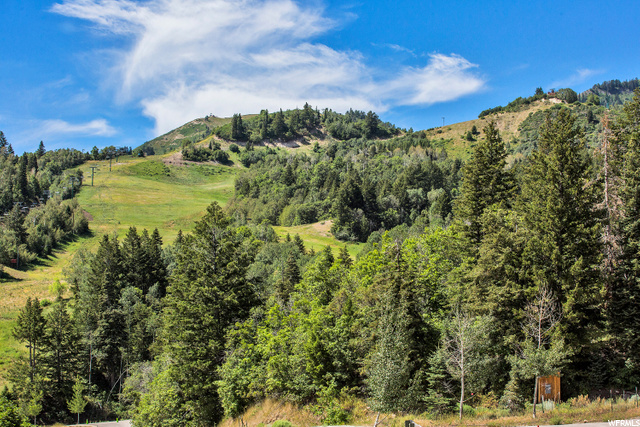 8800 MANDAN RD, Sundance, Utah 84604, ,Land,For Sale,MANDAN,1686346