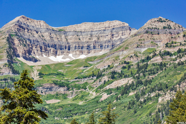 8800 MANDAN RD, Sundance, Utah 84604, ,Land,For Sale,MANDAN,1686346