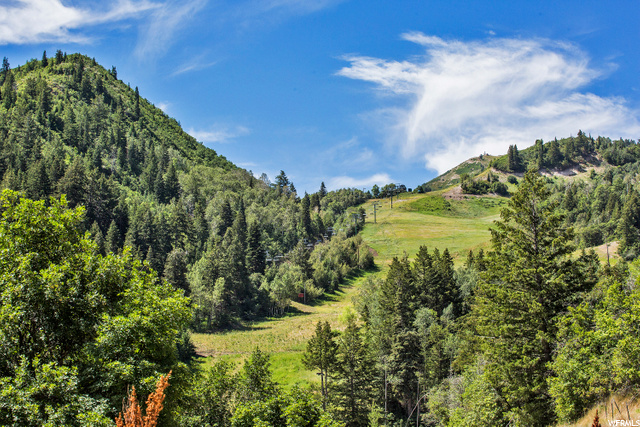 8800 MANDAN RD, Sundance, Utah 84604, ,Land,For Sale,MANDAN,1686346
