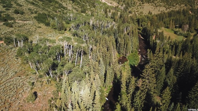 #6, Hanna, UT 84031 — photo 6