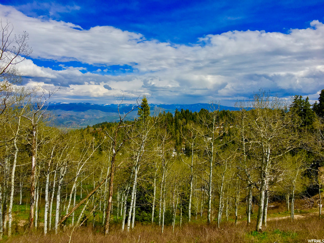 2146 Pine Loop Rd #F-43, Wanship, UT 84017 — photo 4