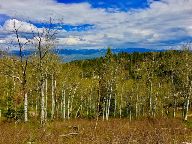 2146 Pine Loop Rd #F-43, Wanship, UT 84017 — photo 5