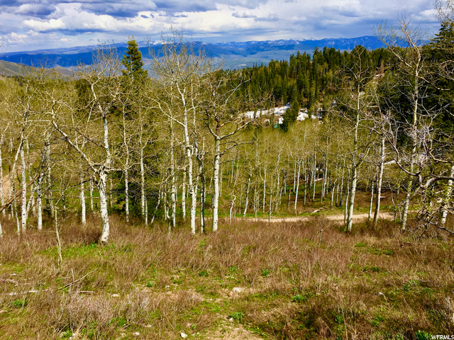 2146 Pine Loop Rd #F-43, Wanship, UT 84017 — photo 9
