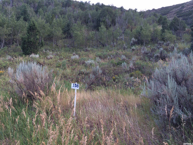 158 Windy Ridge Rd, Echo, UT 84024 — photo 10