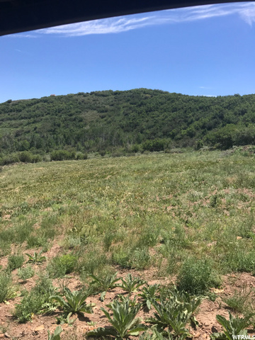 158 Windy Ridge Rd, Echo, UT 84024 — photo 4
