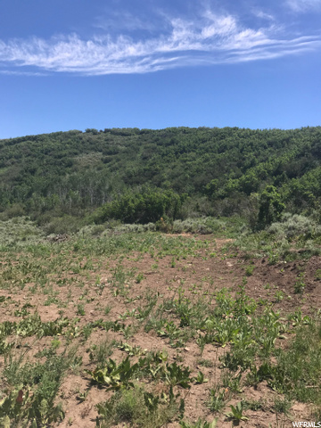 158 Windy Ridge Rd, Echo, UT 84024 — photo 7
