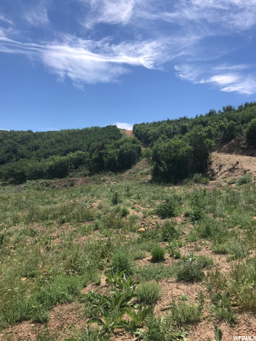 158 Windy Ridge Rd, Echo, UT 84024 — photo 6