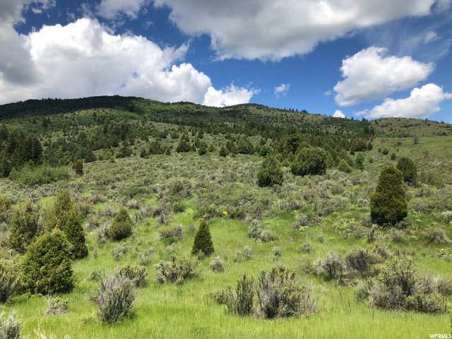 1645 Lund Rd, Bancroft, ID 83217 — photo 3