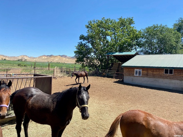 925 E 2000 N, Vernal, UT 84078 — photo 4