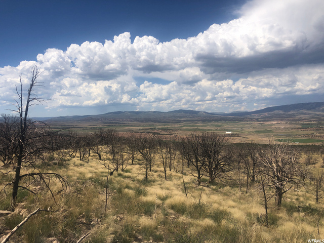 #264, Fruitland, UT 84027 — photo 5
