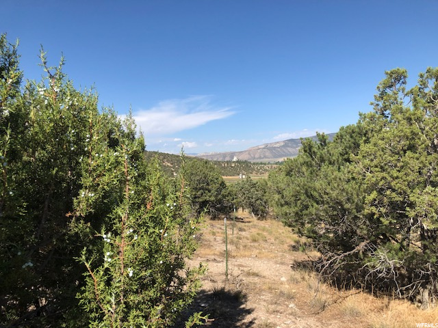 #2/3, Manti, UT 84642 — photo 10