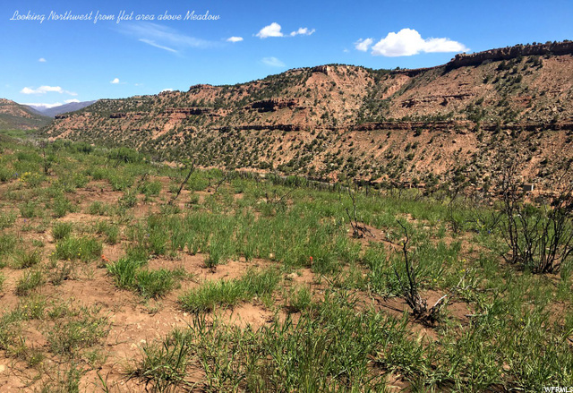 17525 E Hwy 40 S, Daniel, UT 84032 — photo 11