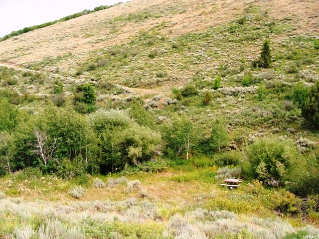 #1, Montpelier, ID 83254 — photo 3