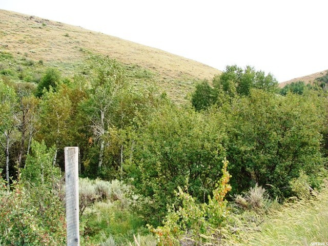 #1, Montpelier, ID 83254 — photo 5