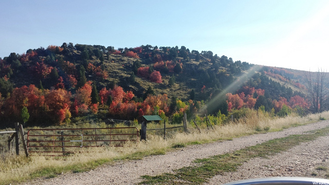 Bloomington, ID 83223 — photo 10